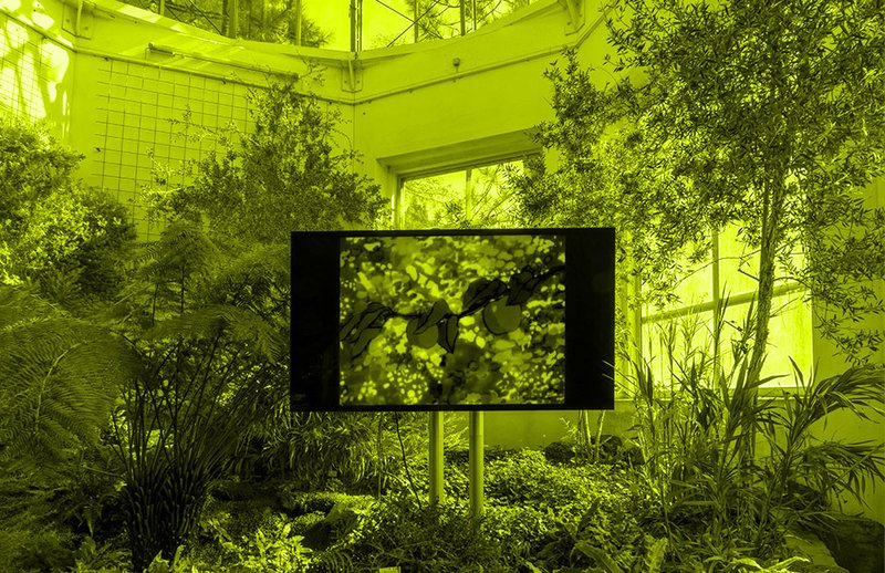 Moving Plants: Neun ortsspezifische Positionen im Frankfurter Palmengarten, Jahrgangsprojekt 2020
